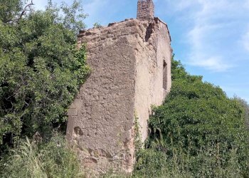 Terreno agricolo -, Vetralla - foto 5