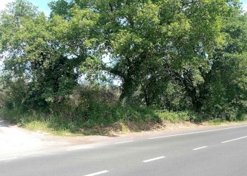 Terreno agricolo -, Vetralla - foto 7