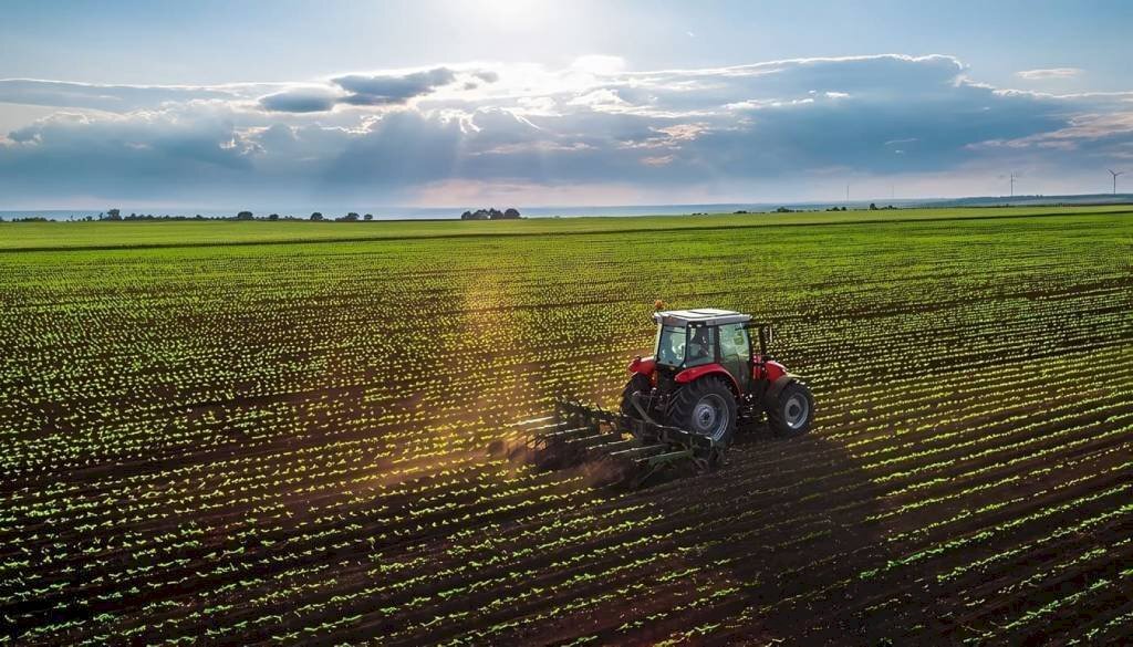 Terreno - Terreno agricolo via Don Giovanni Minzoni, Novi di Modena - foto 1