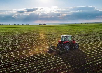 Terreno - Terreno agricolo via Don Giovanni Minzoni, Novi di Modena - foto 1