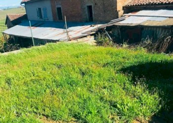 Terreno - Rustico via Gavelli, Castelnuovo Calcea - foto 5