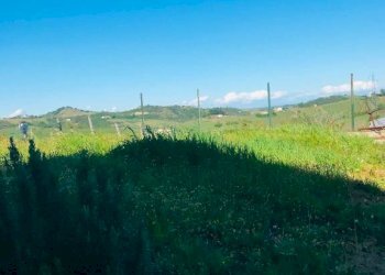 Terreno - Rustico via Gavelli, Castelnuovo Calcea - foto 6