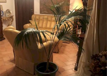 Apartment Reggio nell'Emilia - photo 1