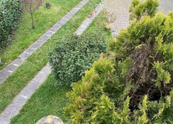 Porzione di casa Vigarano Mainarda - foto 25