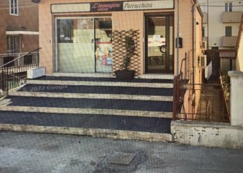 Negozio Ferrara - foto 1