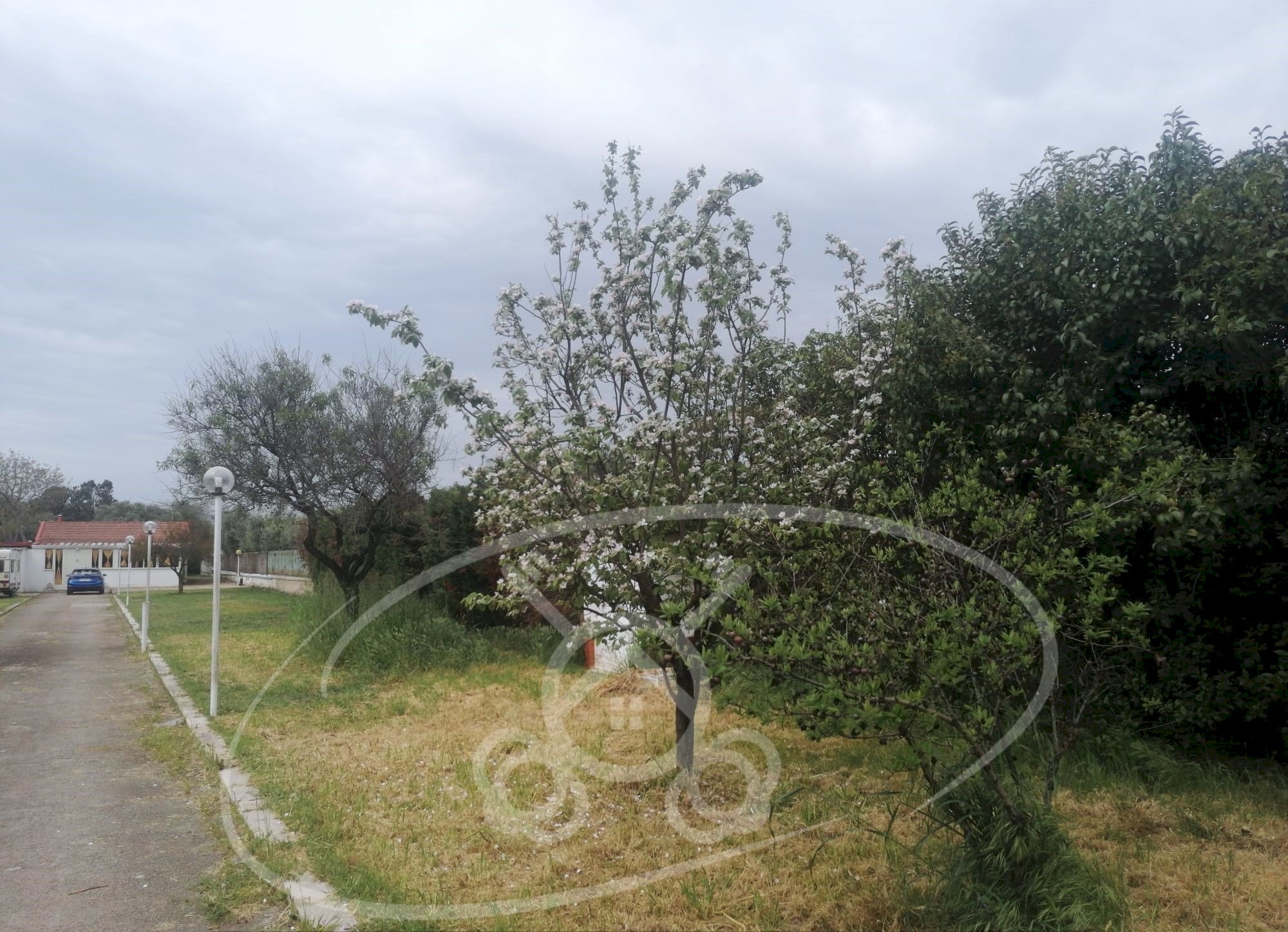 Independent house via Napoli, Foggia - photo 3