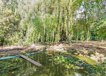 Casa indipendente Lugo - foto 27