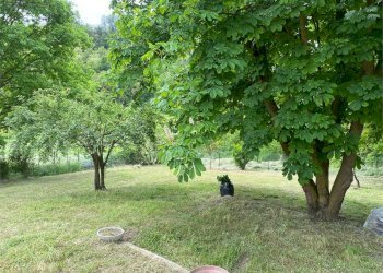 Independent house san rocco, Montaldo Roero - photo 2