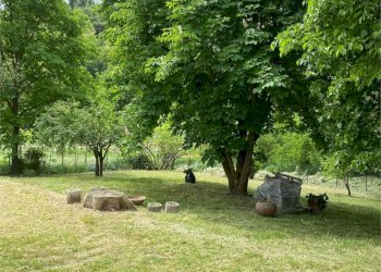 Independent house san rocco, Montaldo Roero - photo 18