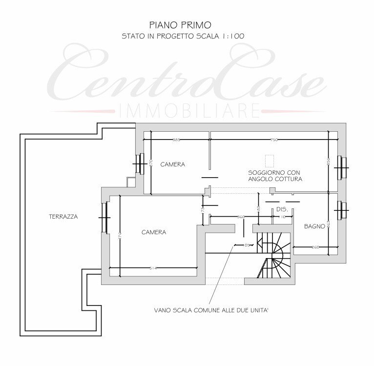 Villa strada Cascine Nuove, Frossasco - floor plans 1