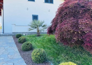 Giardino - Villa strada Cascine Nuove, Frossasco - photo 10