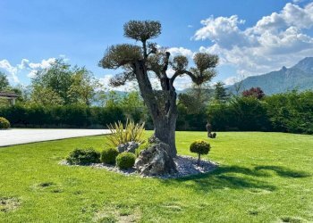 Giardino - Villa strada Cascine Nuove, Frossasco - photo 20