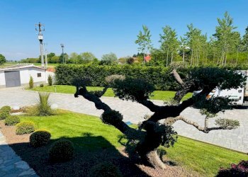 Giardino - Villa strada Cascine Nuove, Frossasco - foto 21