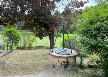 Giardino - Casa indipendente Frazione San Rocco, 24, Montaldo Roero - foto 34