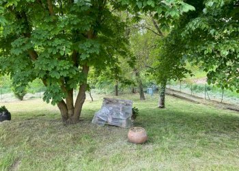 Terreno - Casa indipendente Frazione San Rocco, 24, Montaldo Roero - foto 38