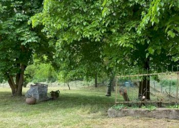 Terreno - Casa indipendente Frazione San Rocco, 24, Montaldo Roero - foto 42
