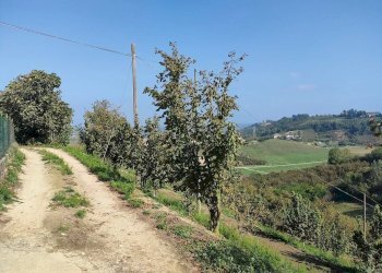 Zona - Rustico Frazione Vaglierano, 56, Asti - foto 36