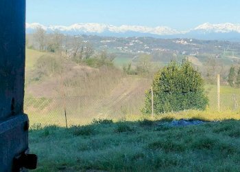 Terreno - Rustico Frazione Vaglierano, 56, Asti - foto 13