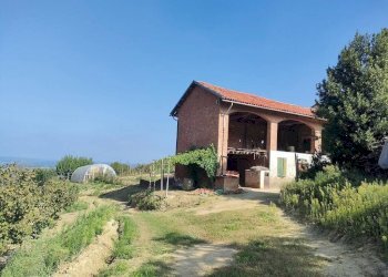 Giardino - Rustico Frazione Vaglierano, 56, Asti - foto 36