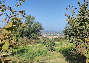 Terreno - Rustico Frazione Vaglierano, 56, Asti - foto 43