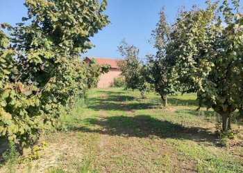 Terreno - Rustico Frazione Vaglierano, 56, Asti - foto 44