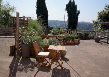 Terrazzo - Rustico Regione Bricco Morra, San Damiano d'Asti - foto 10