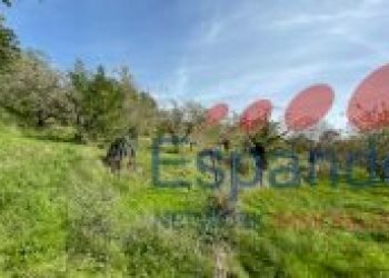 Rustico Marzabotto - foto 46