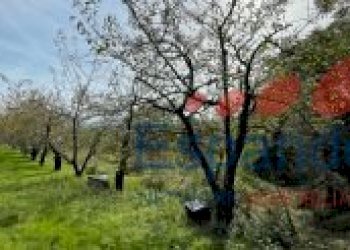 Rustico Marzabotto - foto 47