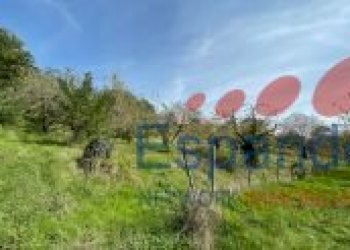 Rustico Marzabotto - foto 48