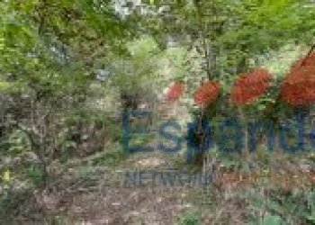 Rustico Marzabotto - foto 50