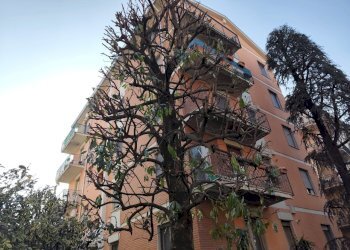 Terreno non edificabile Parma - foto 22