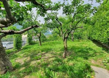 Villa semicentro, Saint-Vincent - photo 14