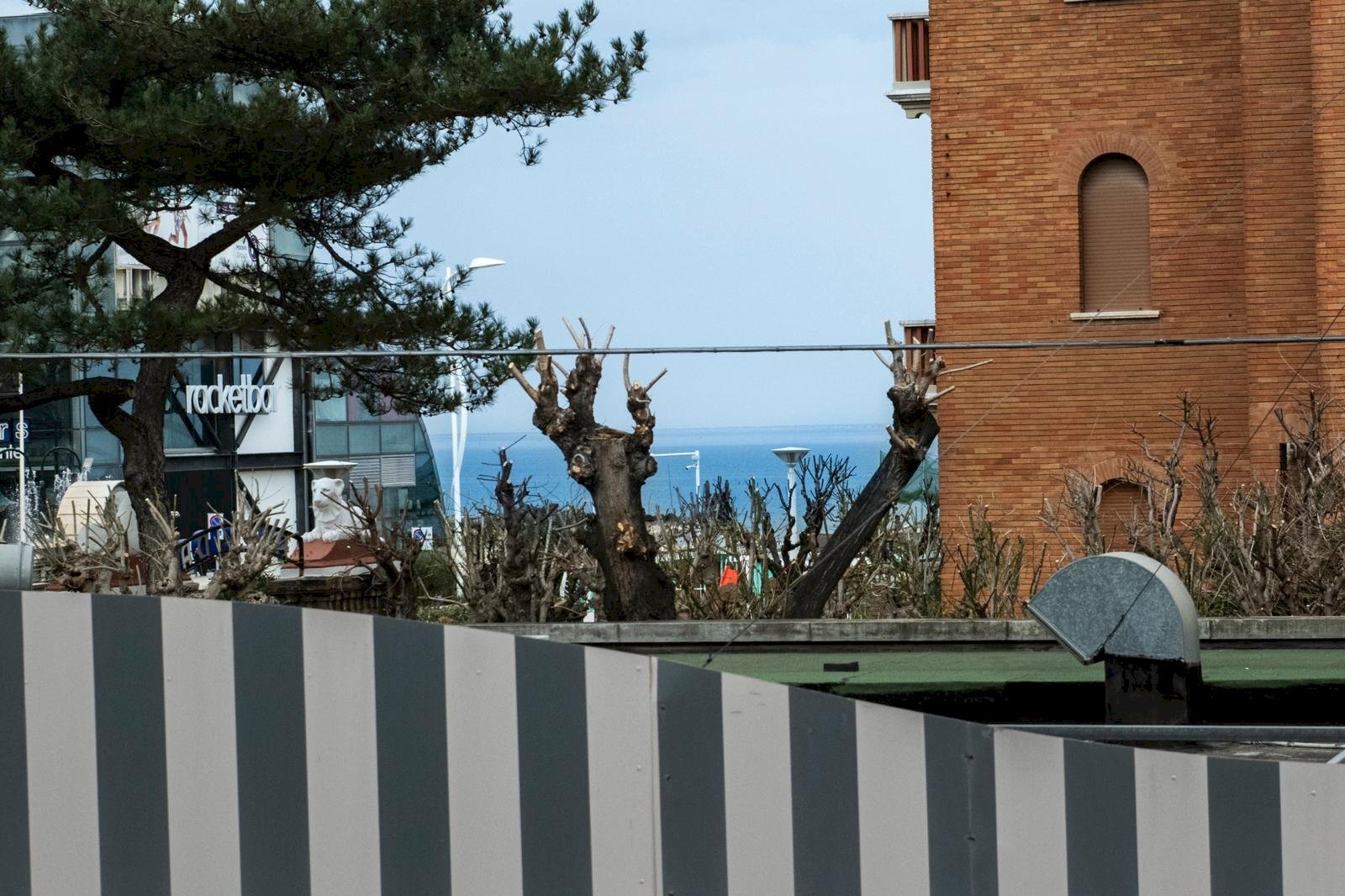 Trilocale Cattolica - foto 1