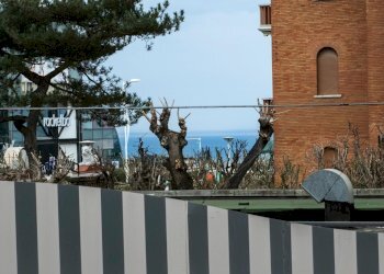 Trilocale Cattolica - foto 1