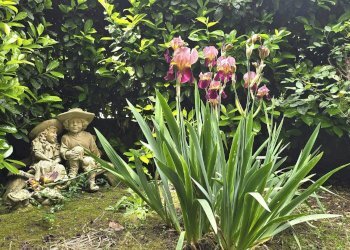 Villa a Schiera Carignano - foto 39