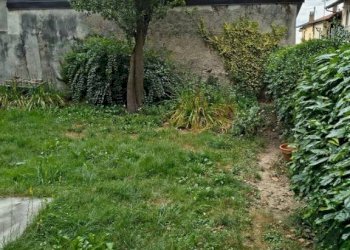 Terreno - Rustic Borgo San Dalmazzo - photo 5