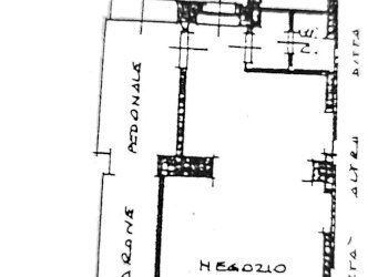 Negozio Torino - foto 27
