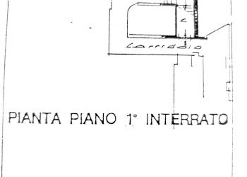 Negozio Torino - foto 28