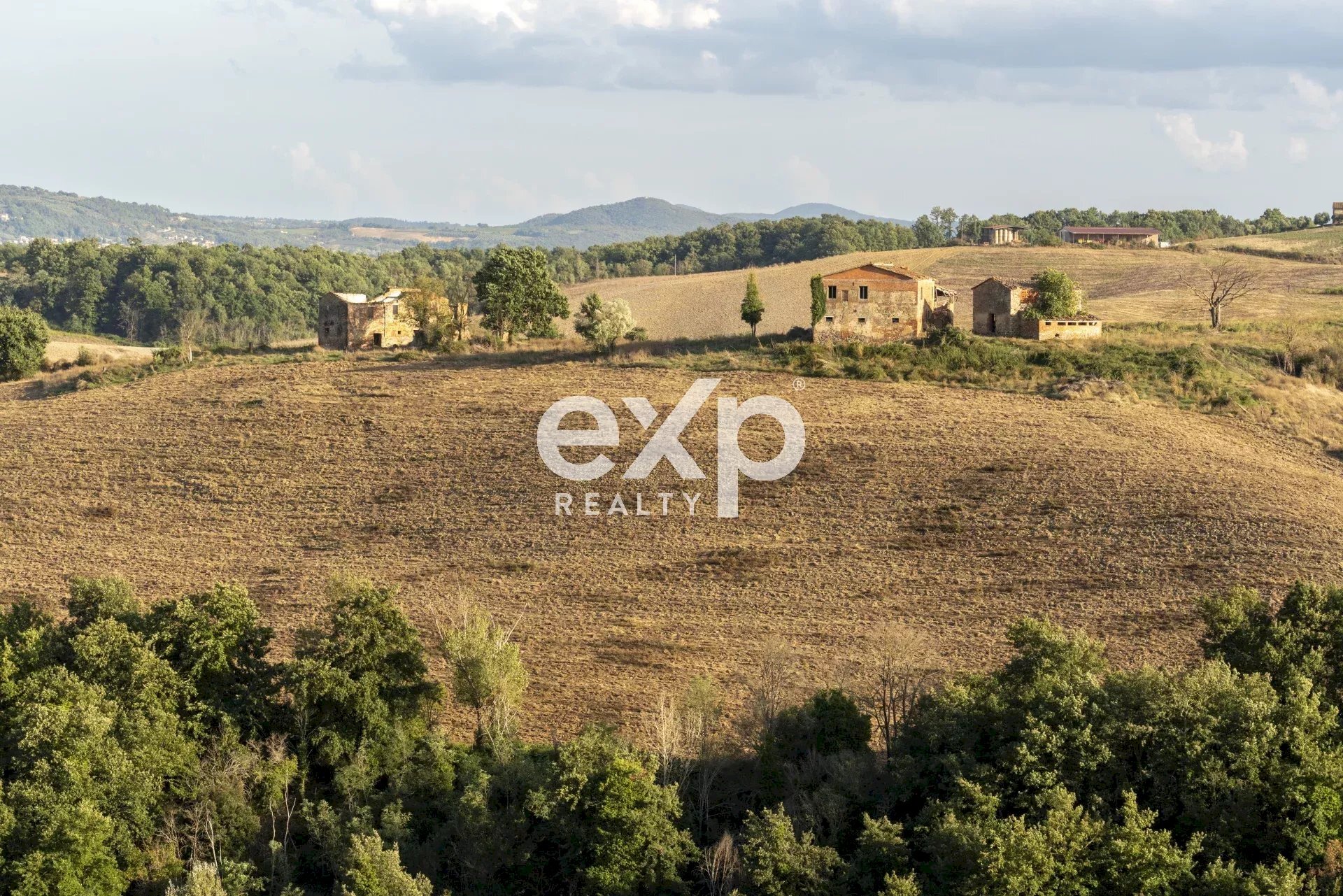 Azienda agricola Asciano - foto 2
