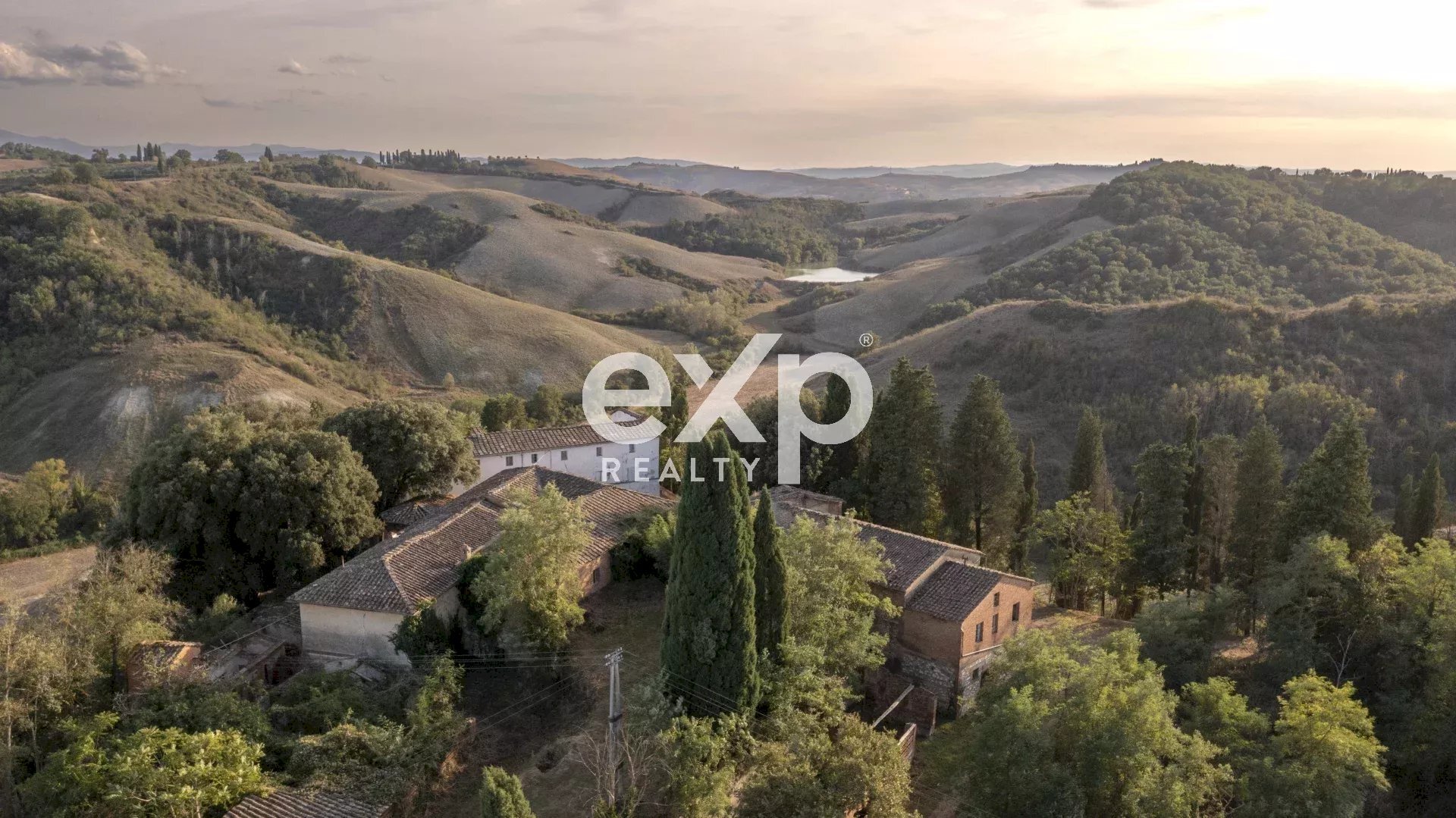 Azienda agricola Asciano - foto 3