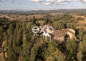 Azienda agricola Asciano - foto 1