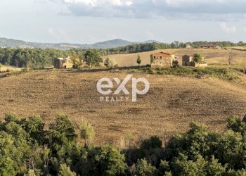 Azienda agricola Asciano - foto 2