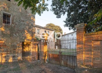 Azienda agricola Asciano - foto 5