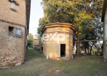 Azienda agricola Asciano - foto 6