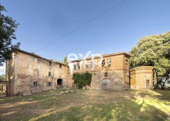 Azienda agricola Asciano - foto 8