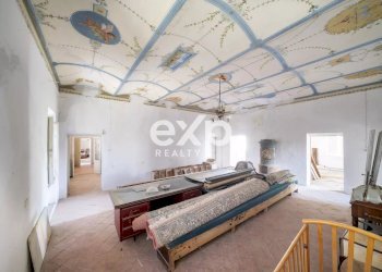 Azienda agricola Asciano - foto 9