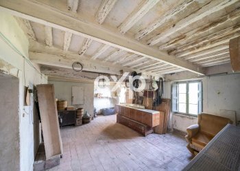 Azienda agricola Asciano - foto 12