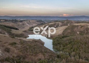 Azienda agricola Asciano - foto 13
