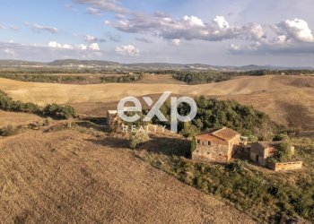 Azienda agricola Asciano - foto 14