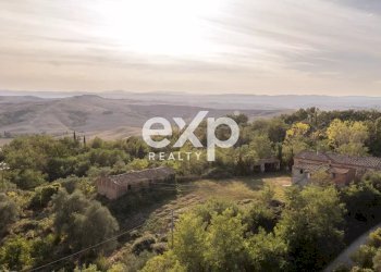 Azienda agricola Asciano - foto 15